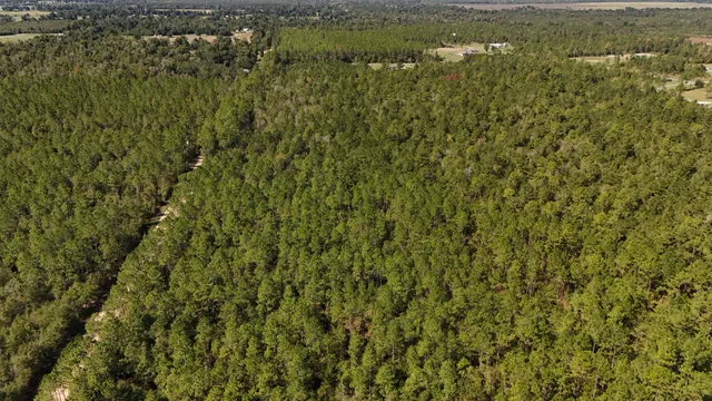 $75,000 | 0 Cross Country Boulevard, Unit 70, Marianna, FL 32446