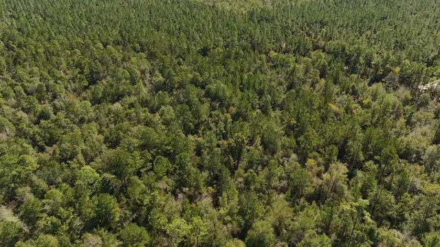 $75,000 | 0 Cross Country Boulevard, Unit 70, Marianna, FL 32446