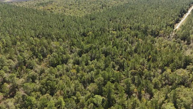 $75,000 | 0 Cross Country Boulevard, Unit 70, Marianna, FL 32446