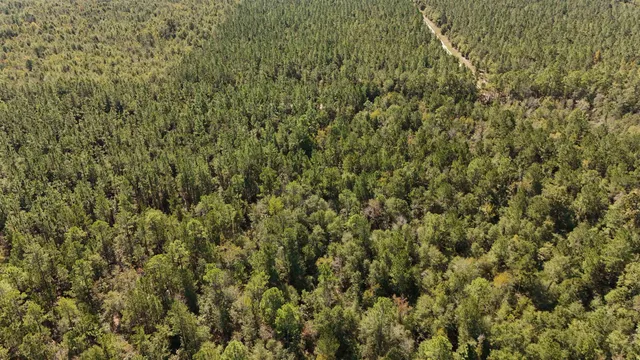 $75,000 | 0 Cross Country Boulevard, Unit 70, Marianna, FL 32446