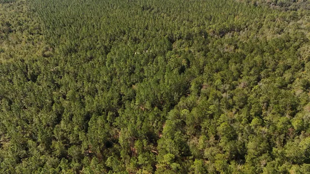 $75,000 | 0 Cross Country Boulevard, Unit 70, Marianna, FL 32446