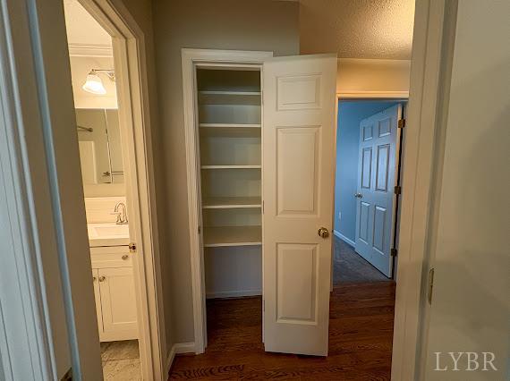 202 Hounds Run Forest, VA 24551 - Photo 19 of 38 a view of walk in closet