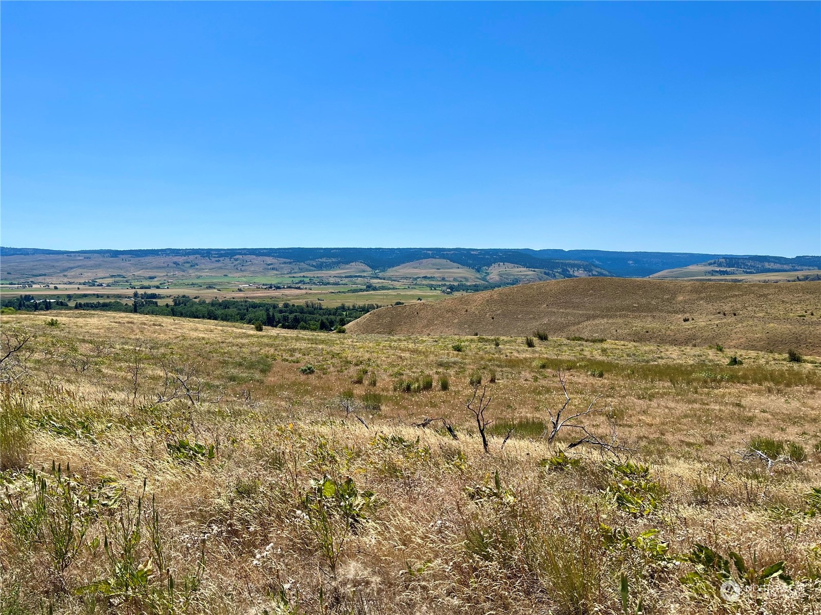 10 Ellensburg Ranches Road Ellensburg, WA 98926 - Photo 12 of 14 Gallery Image 12