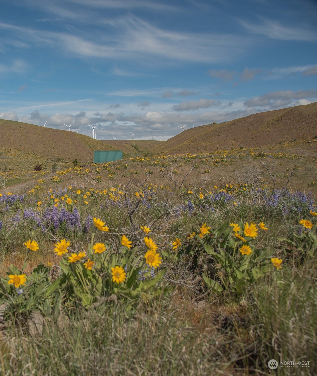 10 Ellensburg Ranches Road Ellensburg, WA 98926 - Photo 13 of 14 Gallery Image 13