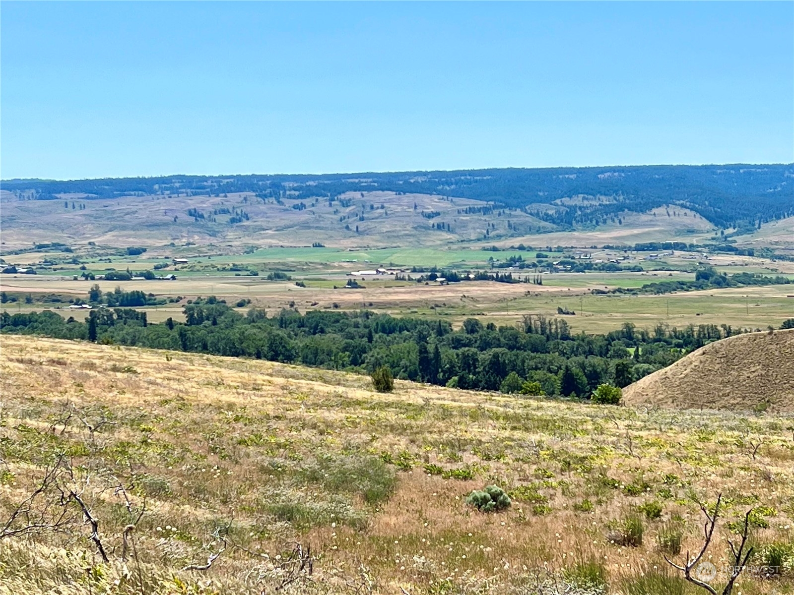 10 Ellensburg Ranches Road Ellensburg, WA 98926 - Photo 10 of 14 Gallery Image 10