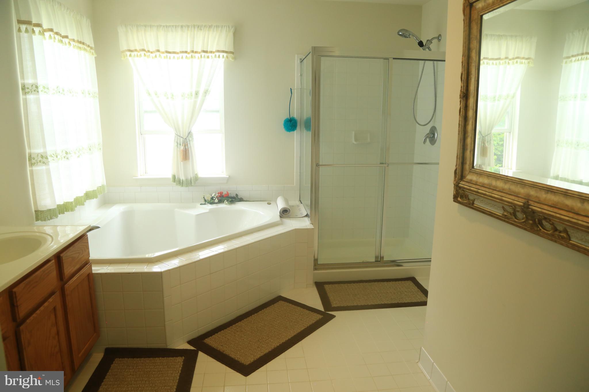 18303 Ashmeade Road Boyds, MD 20841 - Photo 14 of 23 Bath (Master)