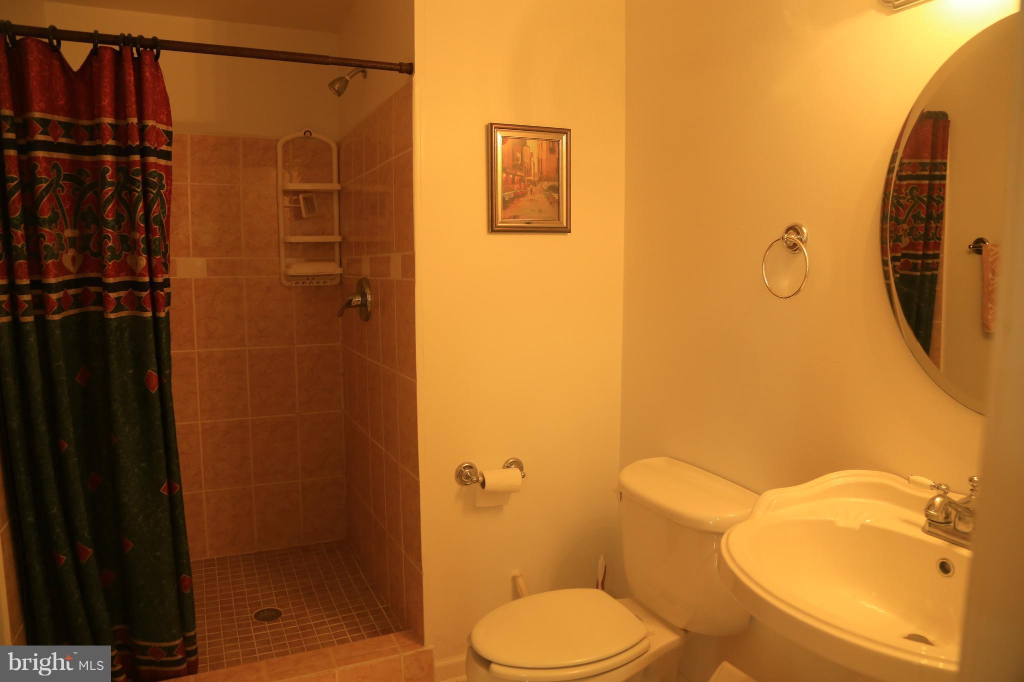 18303 Ashmeade Road Boyds, MD 20841 - Photo 18 of 23 Bath at Lower Level