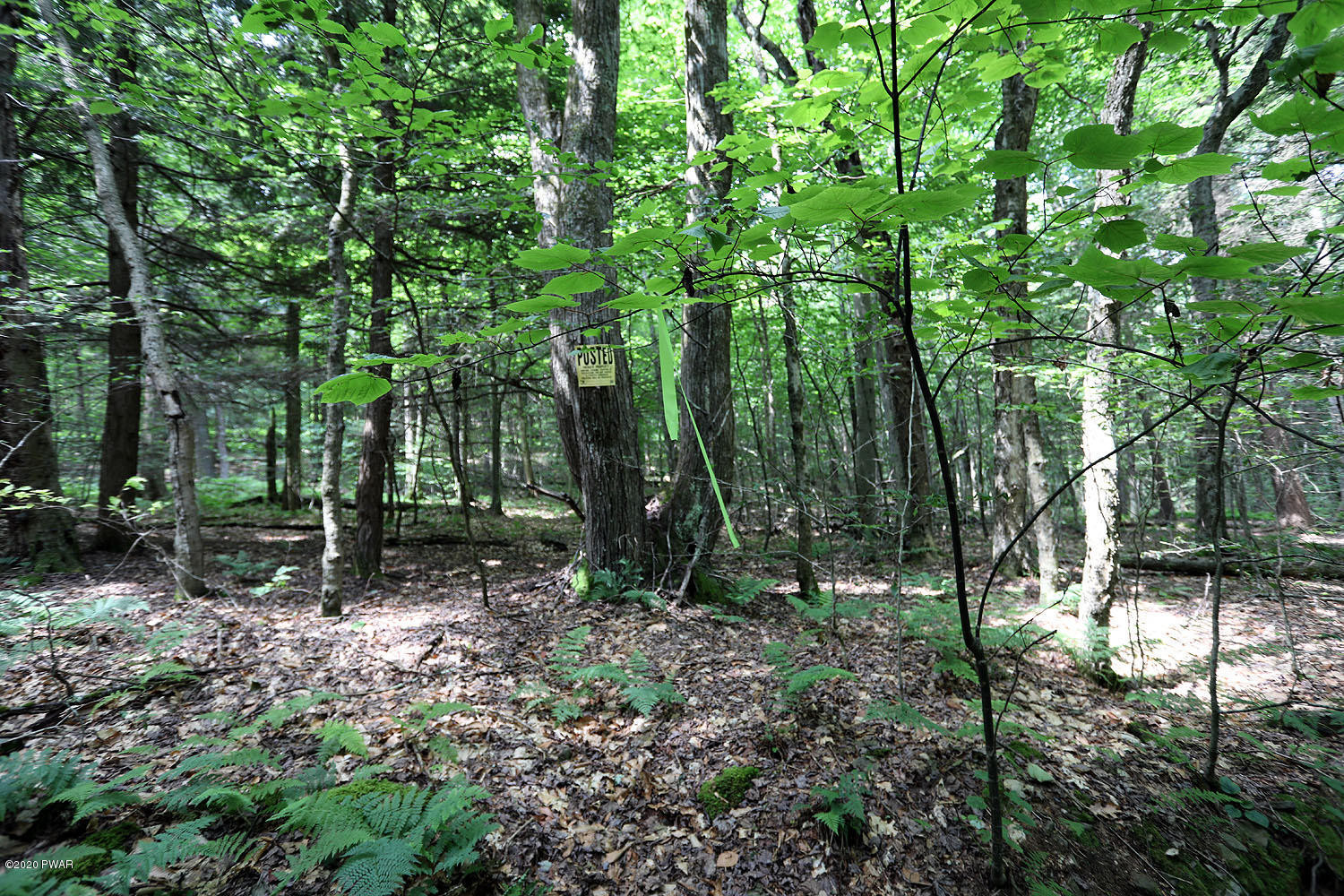 0 Minckler Mountain Road Equinunk, PA 18417 - Photo 31 of 39