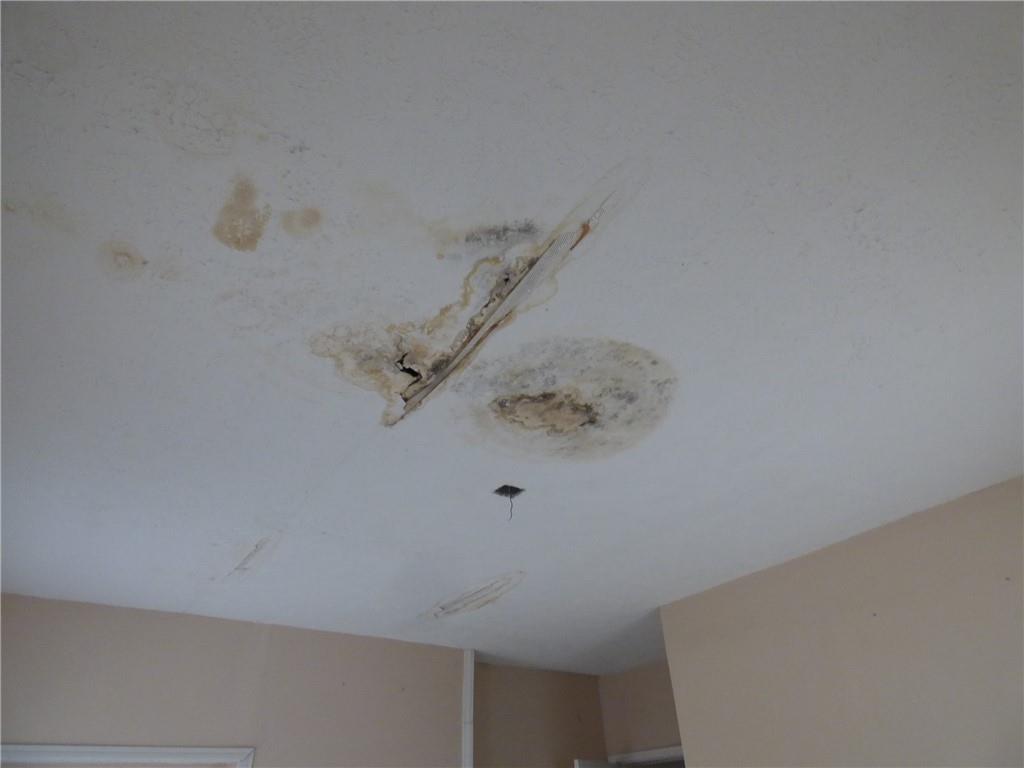 911 Amherst Street Pittsburgh, PA 15220 - Photo 24 of 36 a close up of a wall