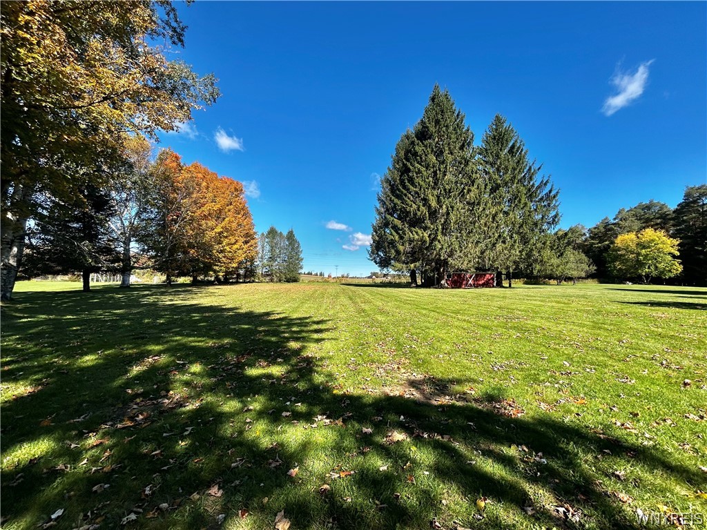 3564 Roszyk Hill Road Machias, NY 14101 - Photo 18 of 20 Mature trees frame a vast, manicured lawn under cl
