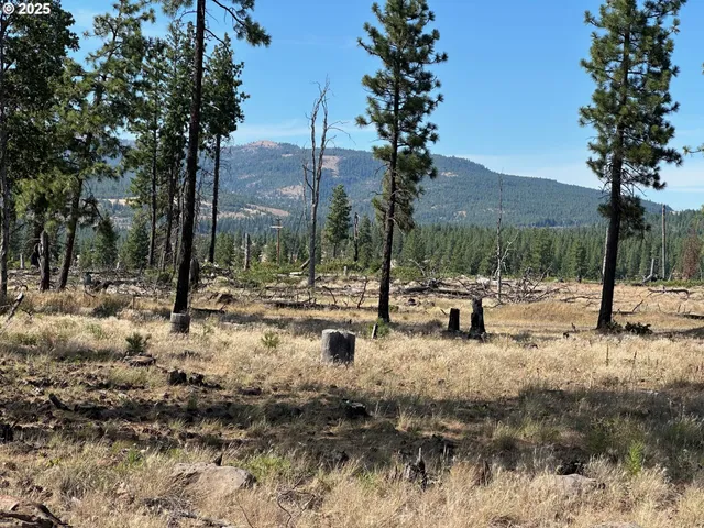 $150,000 | 0 Lee Road, Goldendale, WA 98620