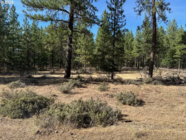 $150,000 | 0 Lee Road, Goldendale, WA 98620