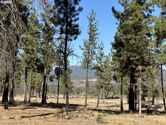 $150,000 | 0 Lee Road, Goldendale, WA 98620