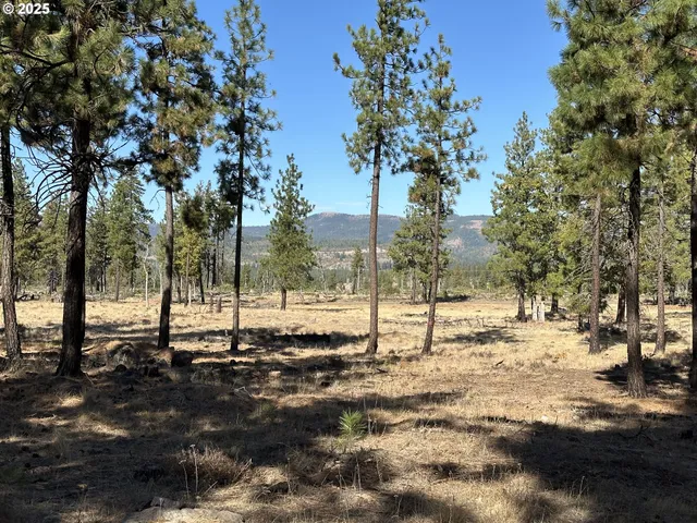 $150,000 | 0 Lee Road, Goldendale, WA 98620