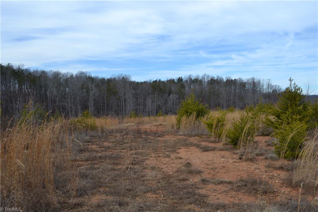3175 Anglin Mill Road Stoneville, NC 27048 - Photo 6 of 9 Gallery Image 6