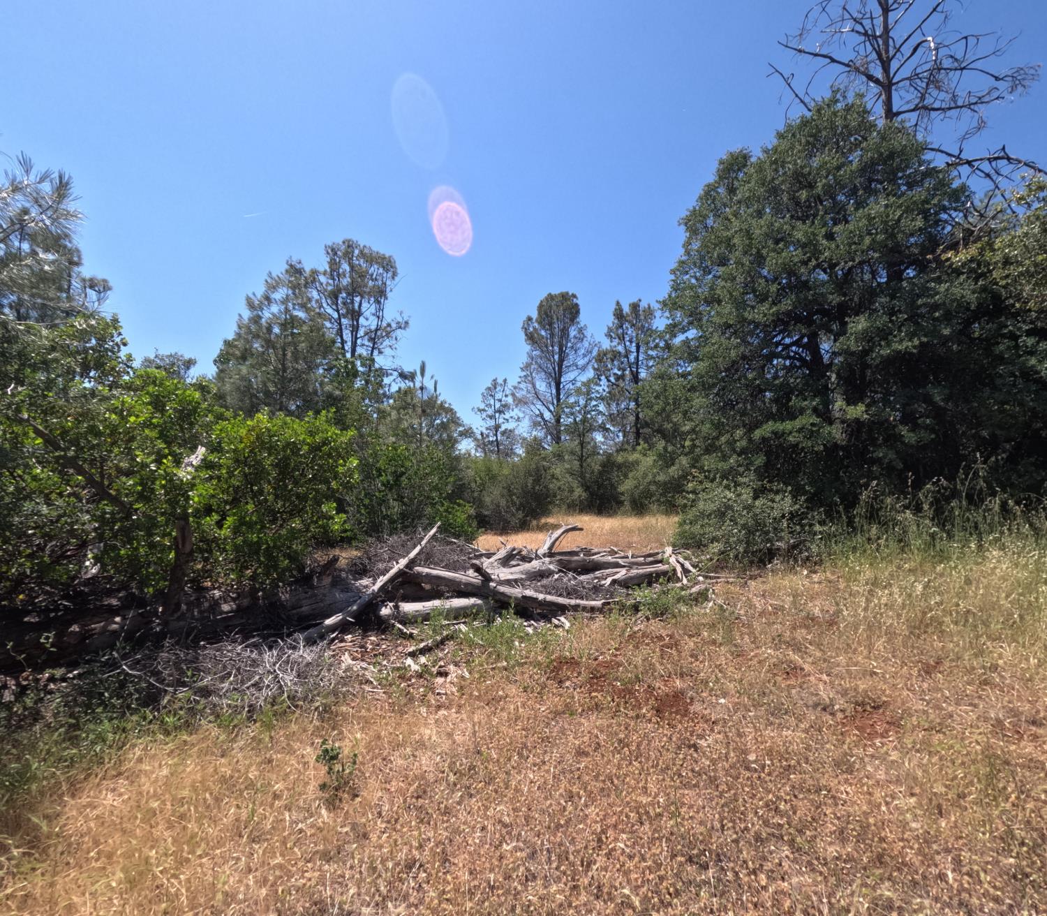 0 Hazen Road Manton, CA 96059 - Photo 7 of 11