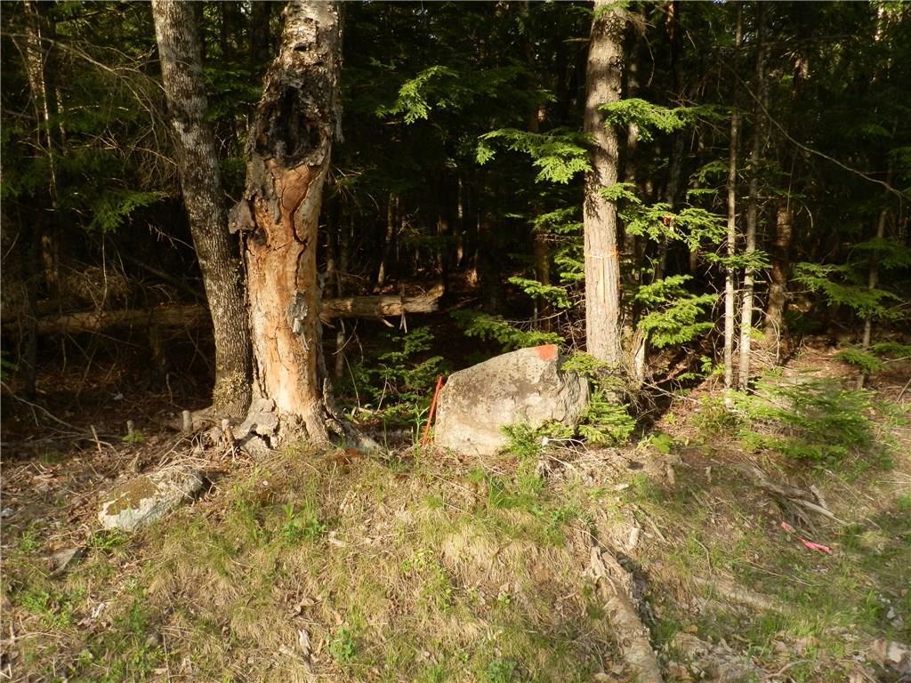 0 Bottle Lake Road Springfield, ME 04487 - Photo 24 of 25 Photo