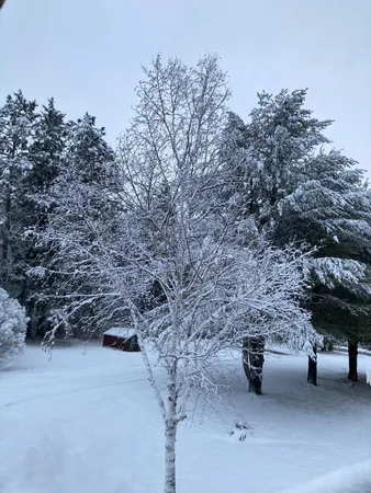 $349,900 | 35638 678th Street, Hill City, MN 55748