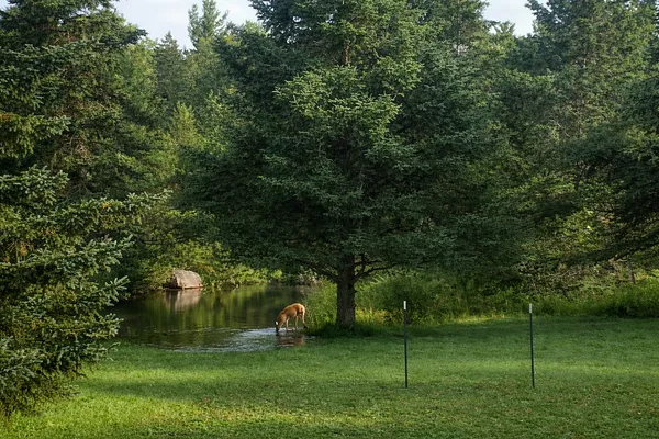 $349,900 | 35638 678th Street, Hill City, MN 55748