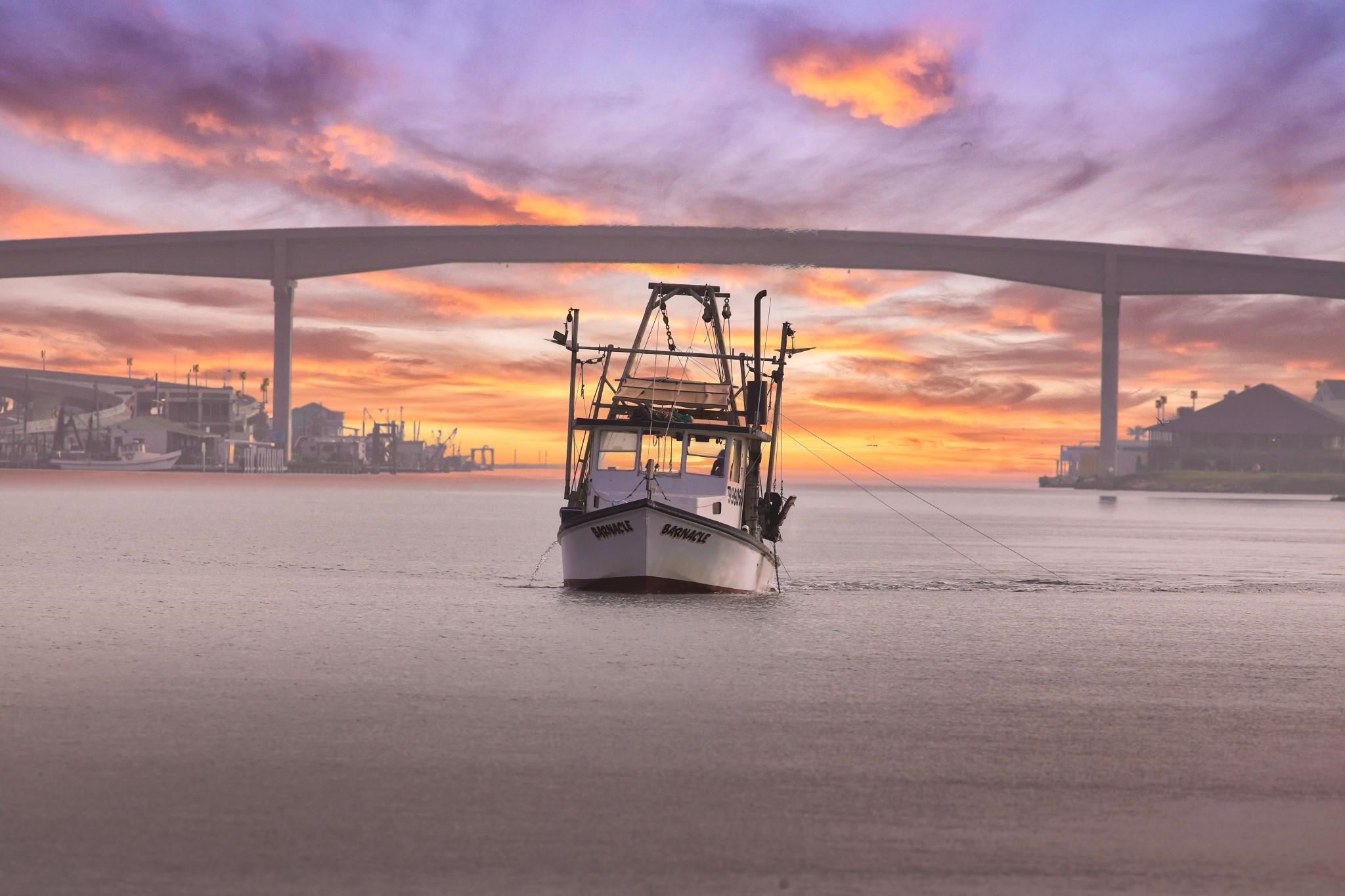 2028 County Road 201 Sargent, TX 77414 - Photo 14 of 45