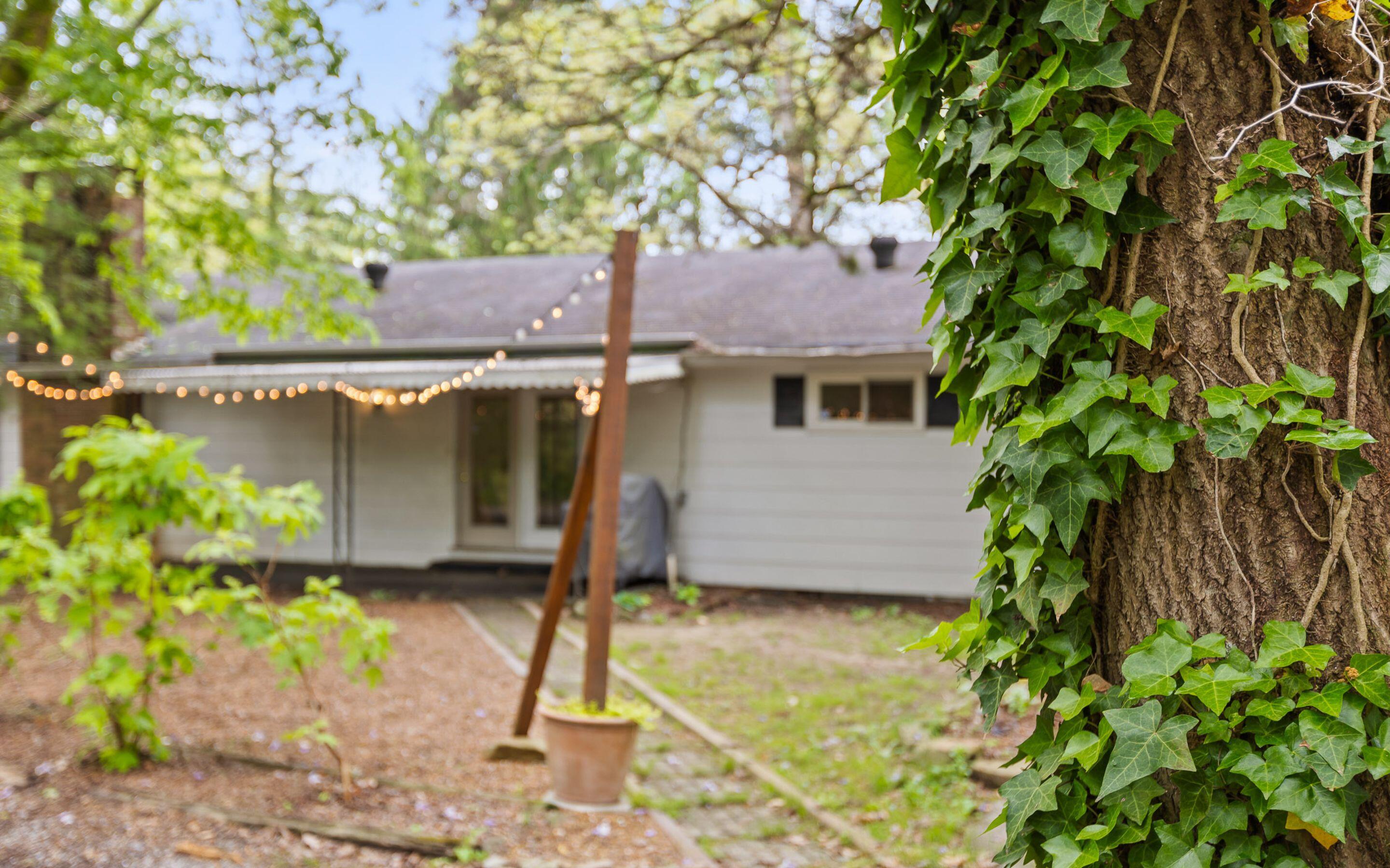 609 Albert Road Signal Mountain, TN 37377 - Photo 25 of 43 Backyard Oasis