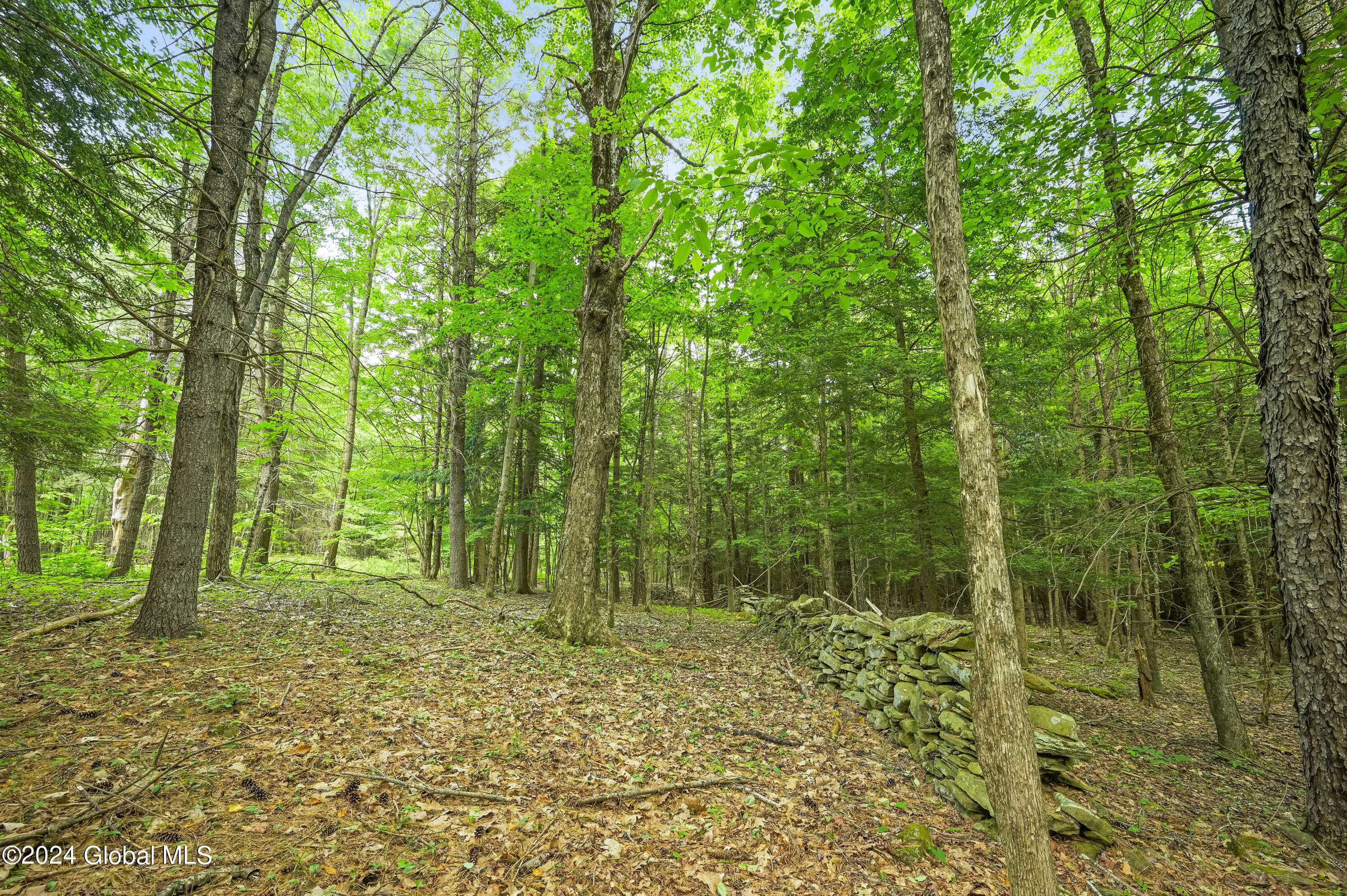 139 Deer Path Road Stamford, NY 12167 - Photo 1 of 27 Camera 139 Deer Path Jefferson -4
