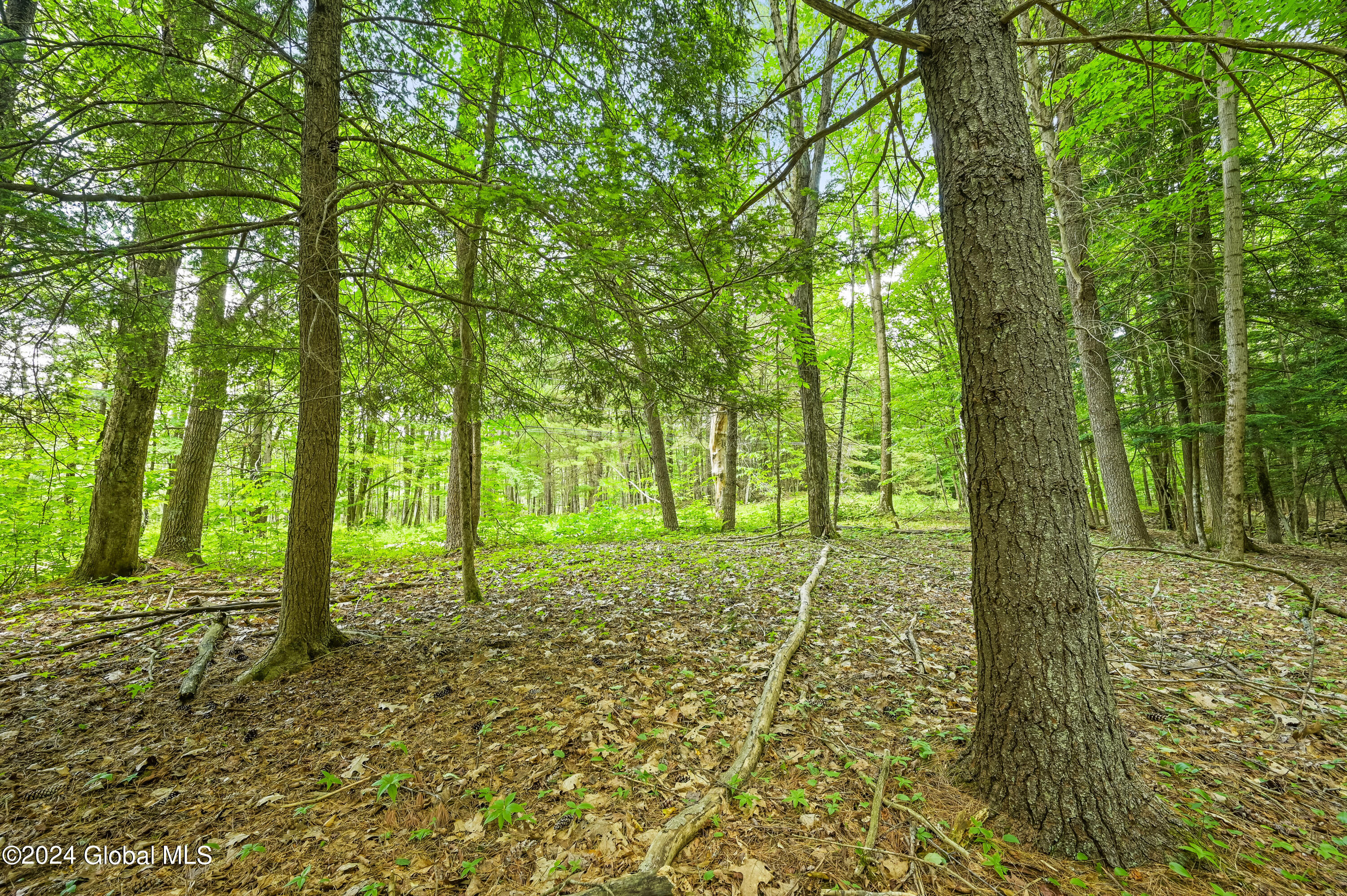 139 Deer Path Road Stamford, NY 12167 - Photo 11 of 27 Camera 139 Deer Path Jefferson -6