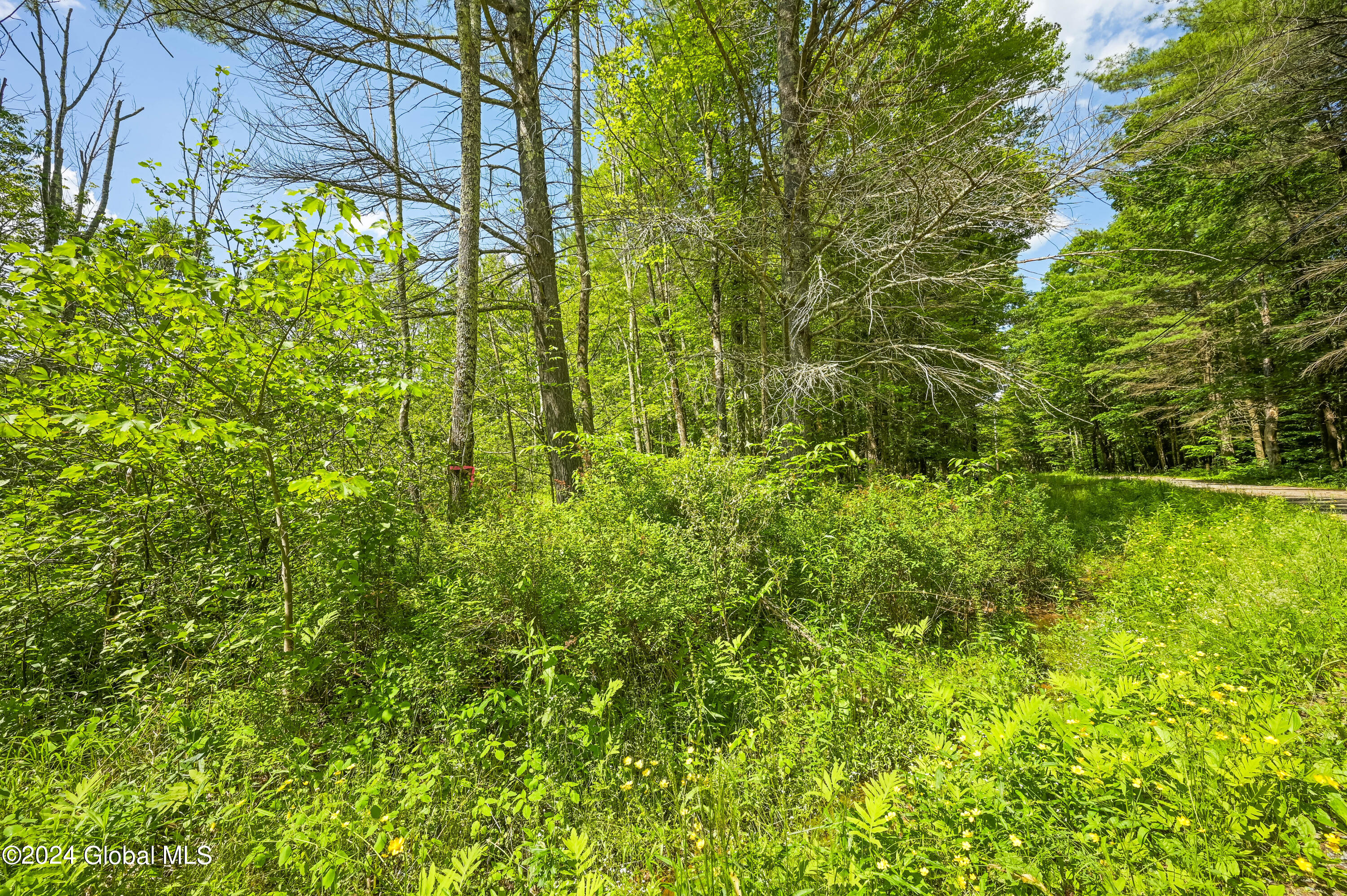 139 Deer Path Road Stamford, NY 12167 - Photo 16 of 27 Camera 139 Deer Path Jefferson -14
