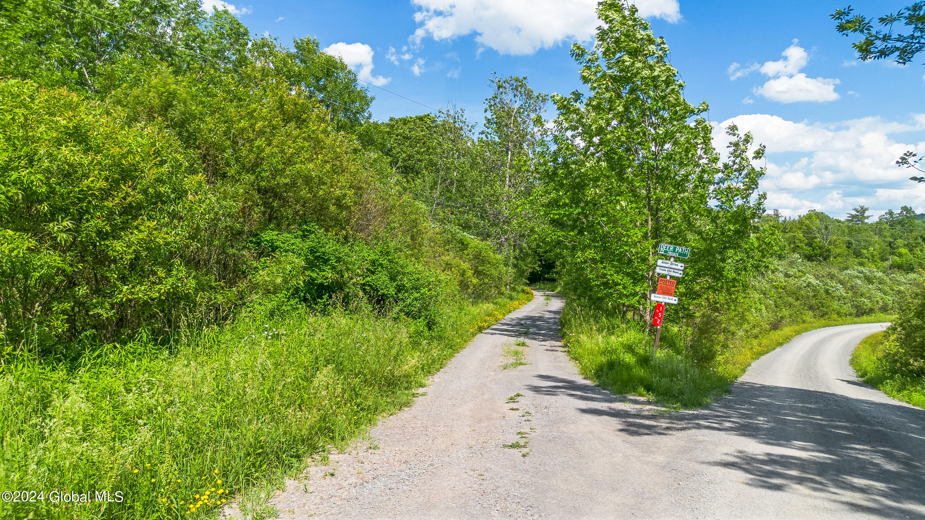 139 Deer Path Road Stamford, NY 12167 - Photo 26 of 27 Drone 139 Deer Path Jefferson -10