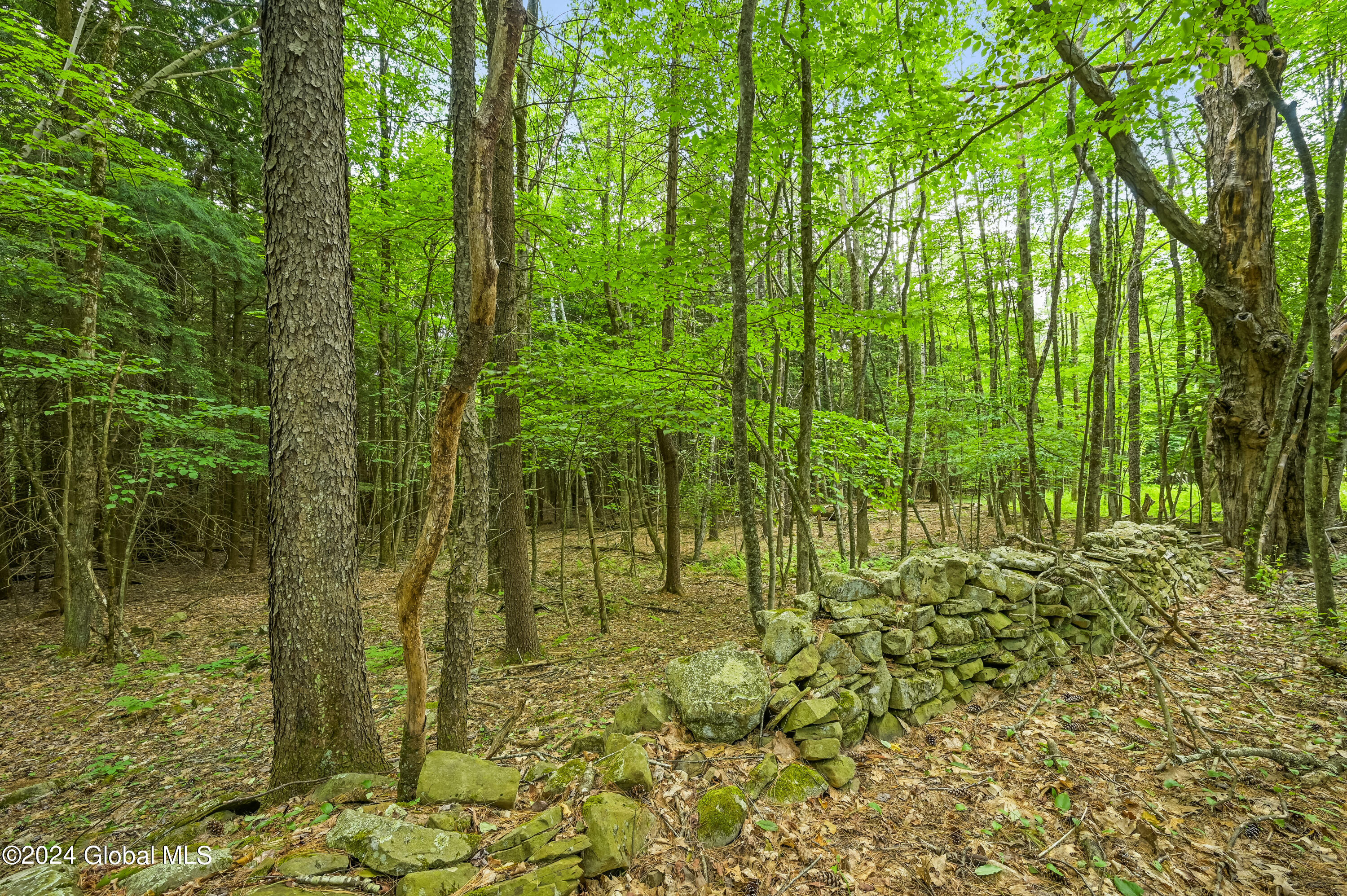 139 Deer Path Road Stamford, NY 12167 - Photo 4 of 27 Camera 139 Deer Path Jefferson -5