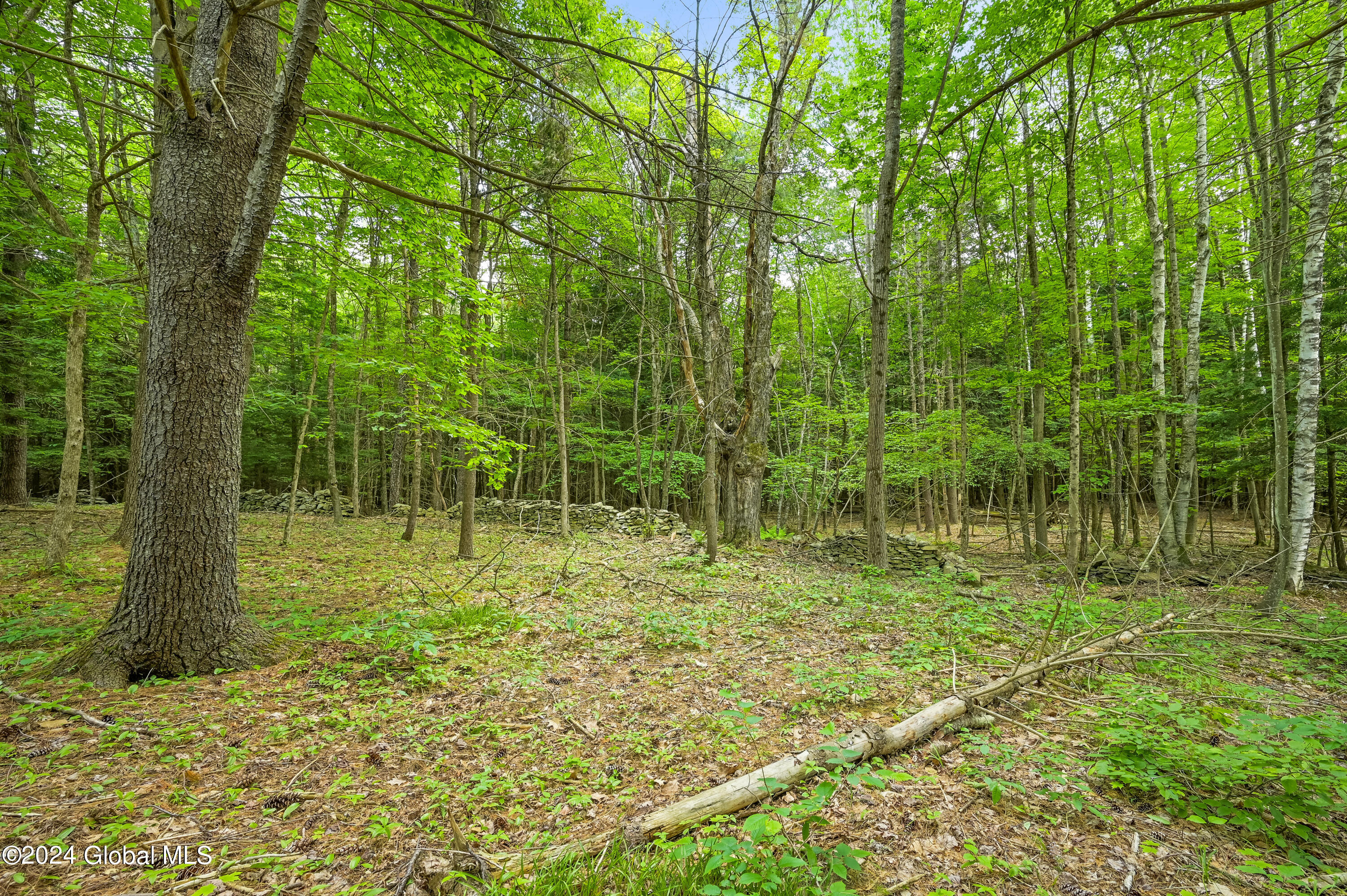 139 Deer Path Road Stamford, NY 12167 - Photo 8 of 27 Camera 139 Deer Path Jefferson -2
