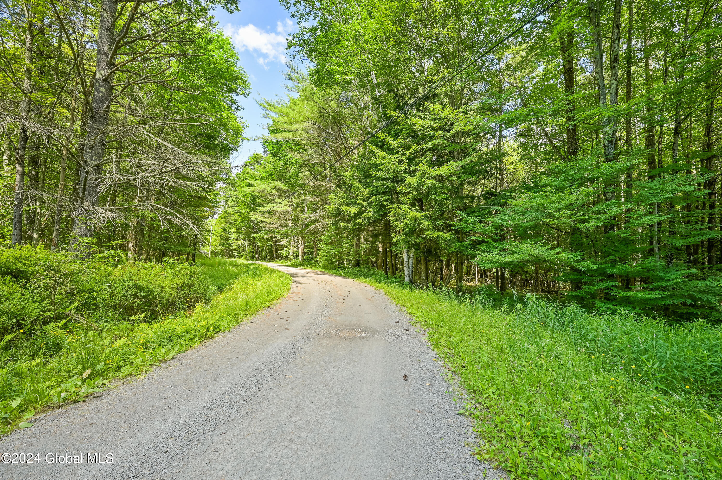 139 Deer Path Road Stamford, NY 12167 - Photo 10 of 27 Camera 139 Deer Path Jefferson -1