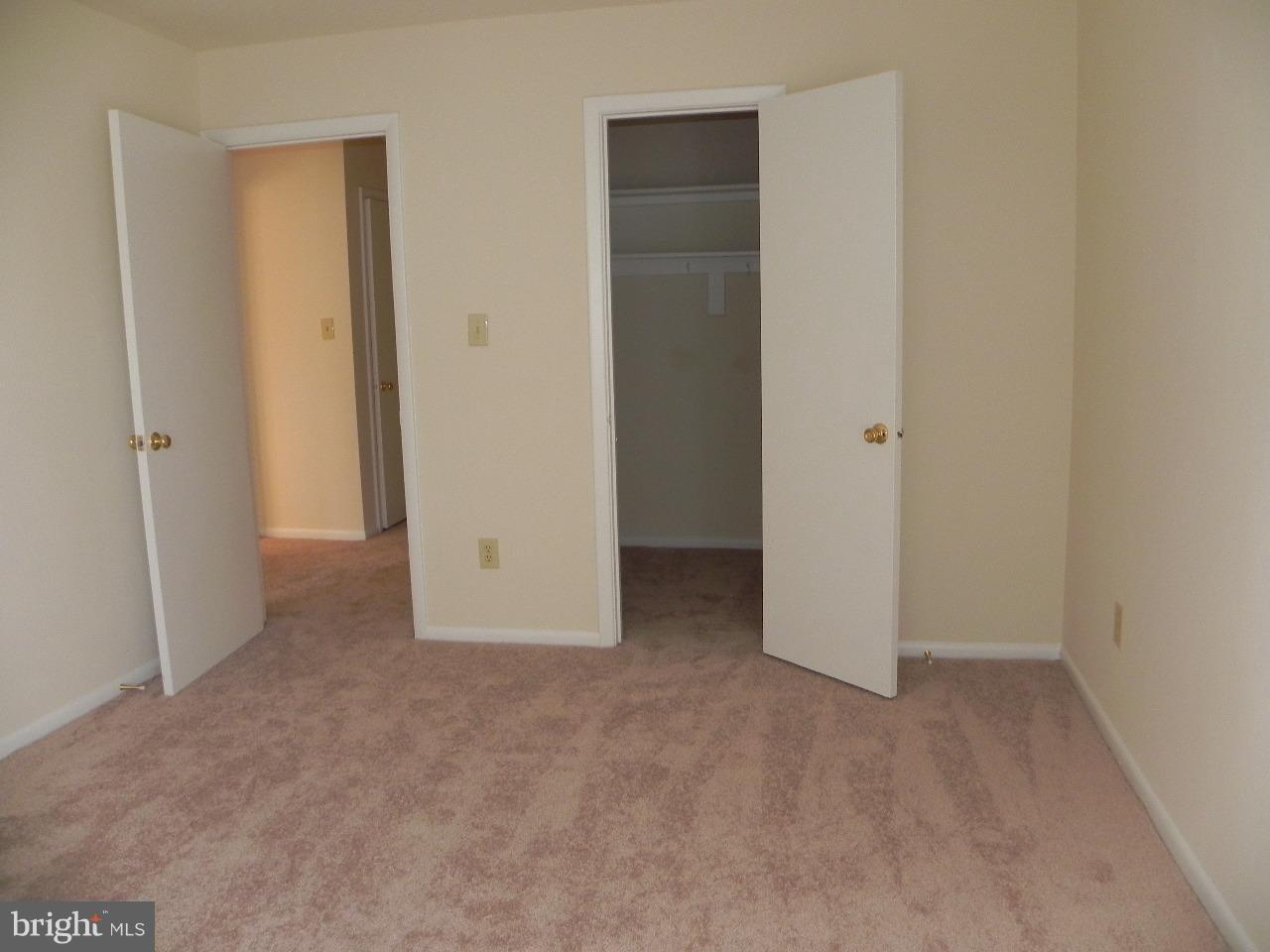 2505 Baltimore Road, Unit 6 Rockville, MD 20853 - Photo 12 of 20 Bedroom 1b
