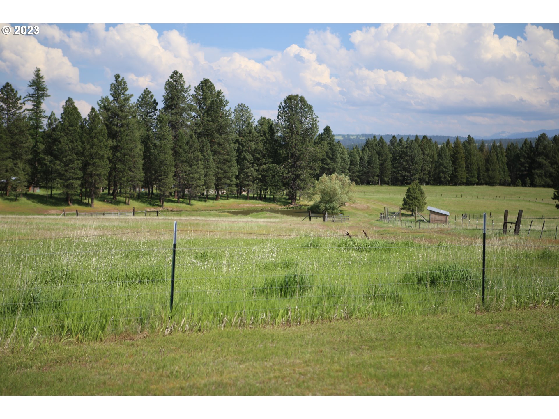 75531 Robinson Road Elgin, OR 97827 - Photo 17 of 26 Pasture
