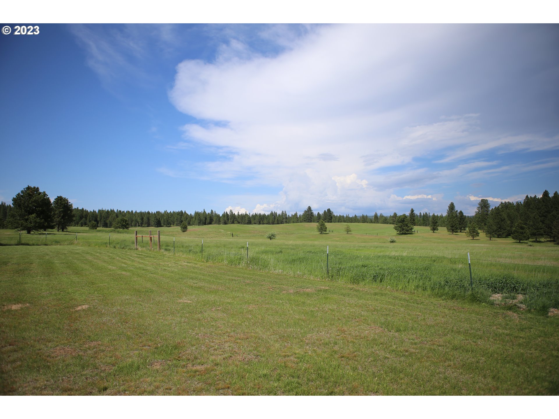 75531 Robinson Road Elgin, OR 97827 - Photo 18 of 26 Pasture