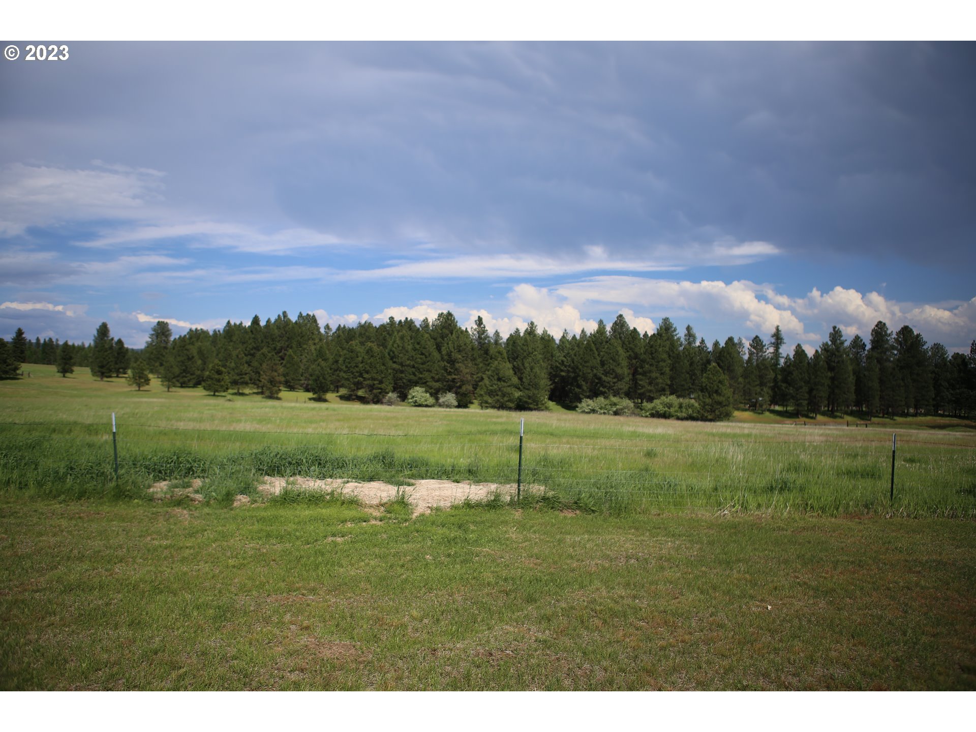75531 Robinson Road Elgin, OR 97827 - Photo 19 of 26 Pasture