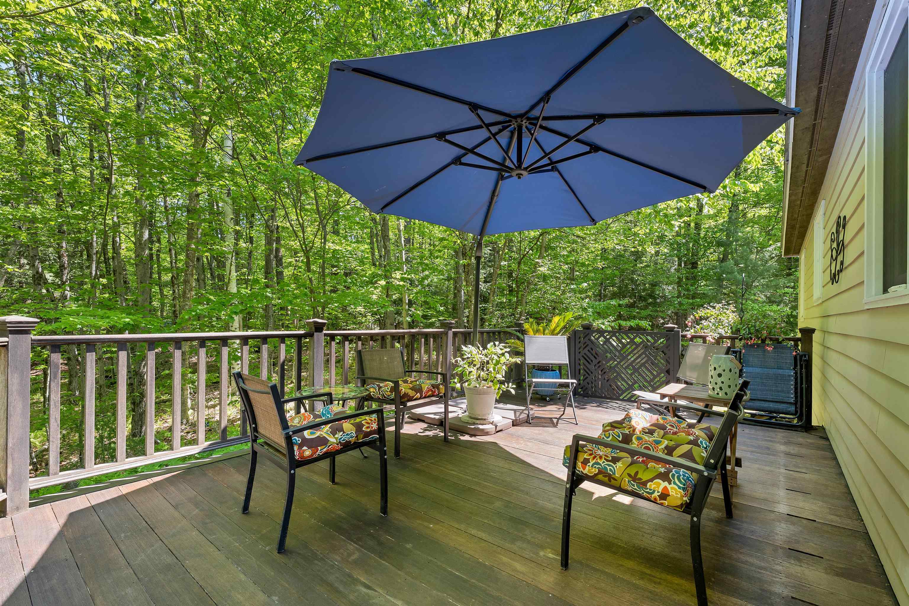 155 Fox Run Road Stoddard, NH 03464 - Photo 54 of 60