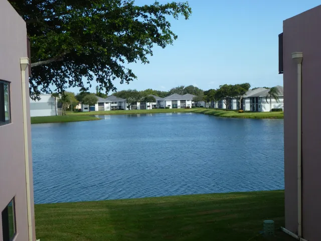 a view of a lake with a large trees