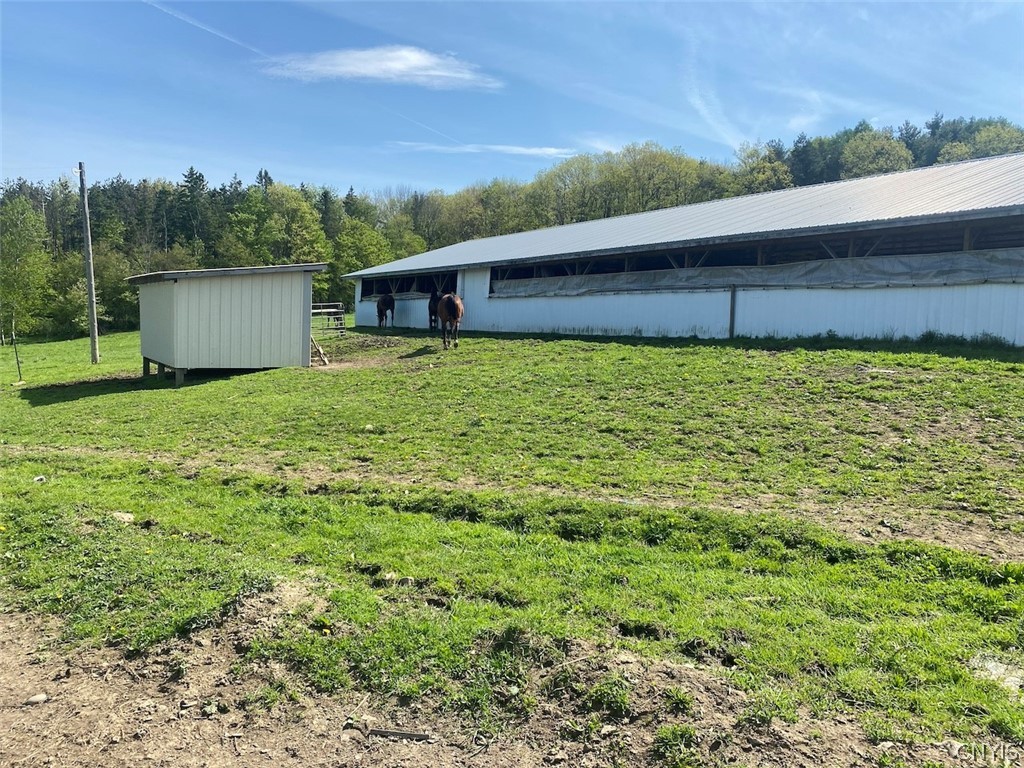 8924 Town Line Road Centerville, NY 14744 - Photo 23 of 31