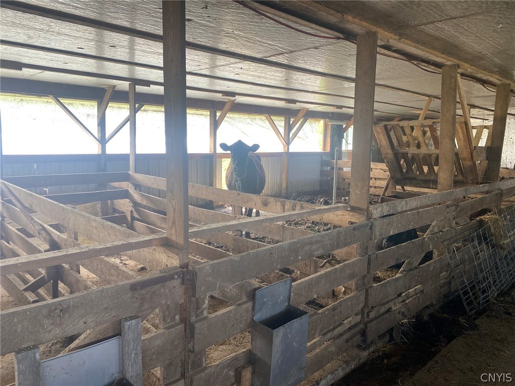 8924 Town Line Road Centerville, NY 14744 - Photo 24 of 31