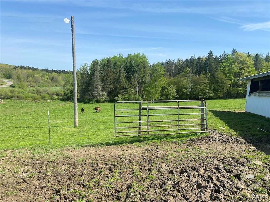 8924 Town Line Road Centerville, NY 14744 - Photo 28 of 31