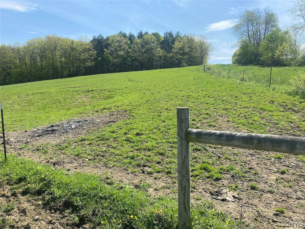 8924 Town Line Road Centerville, NY 14744 - Photo 29 of 31