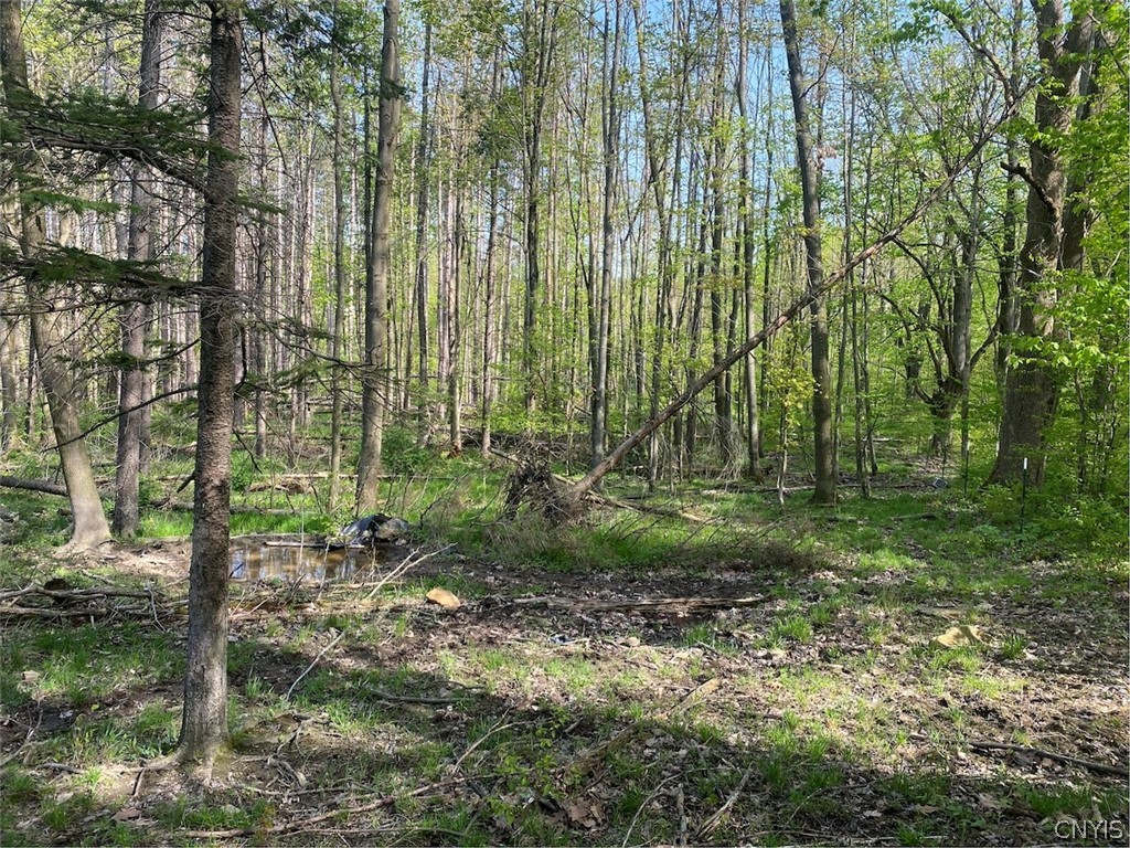 8924 Town Line Road Centerville, NY 14744 - Photo 31 of 31