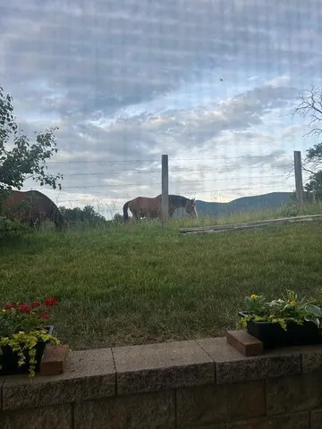 $445,000 | 1152 Cardiff Court, Roanoke, VA 24019