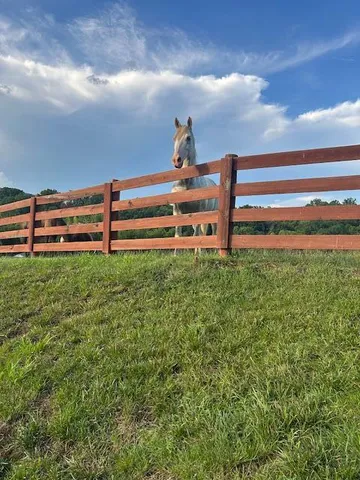 $445,000 | 1152 Cardiff Court, Roanoke, VA 24019