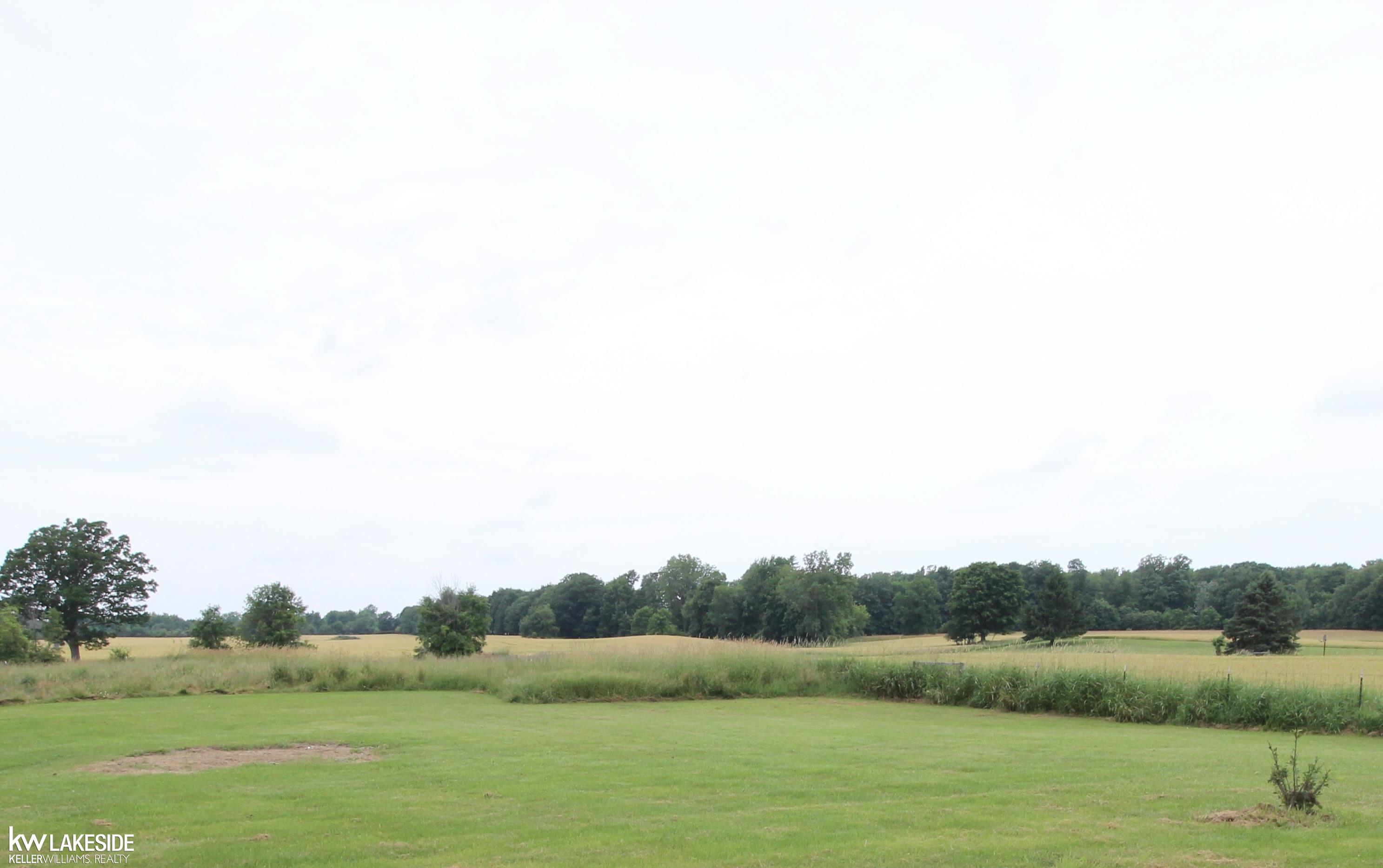 4191 Miller Road Capac, MI 48014 - Photo 13 of 21 Way better in person.