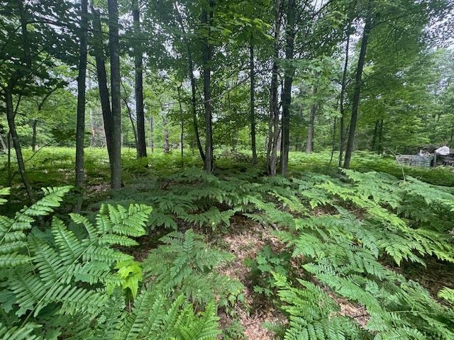 10384 West Rosted Road Lake City, MI 49651 - Photo 7 of 10
