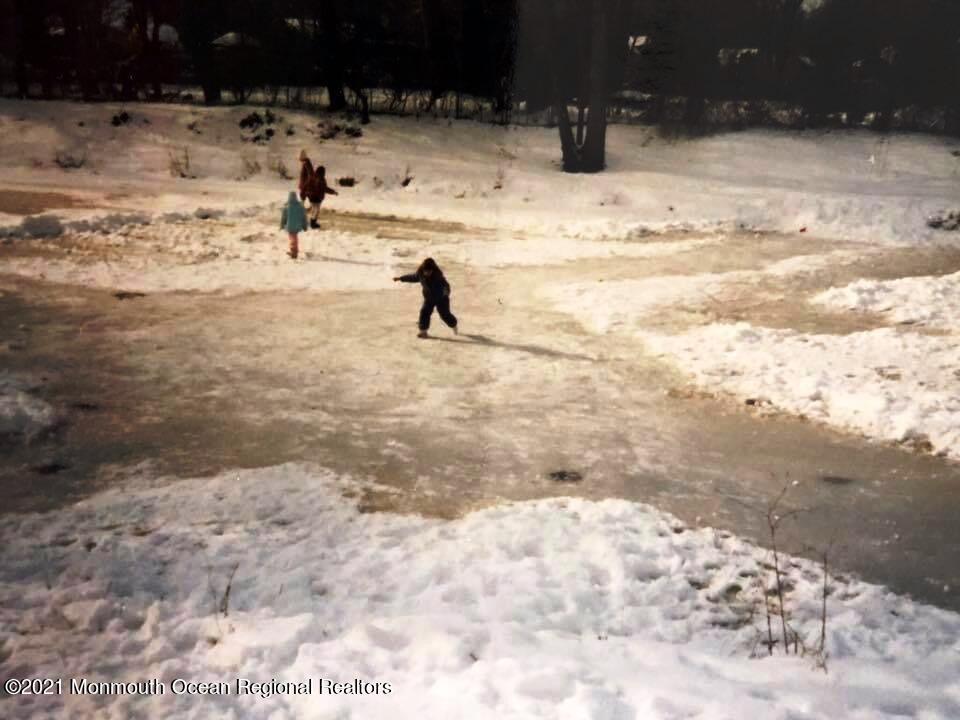 49 East River Road Rumson, NJ 07760 - Photo 8 of 8 49 E. River-ice skating