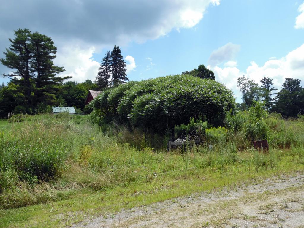 332 Fitzgerald Road Morristown, VT 05661 - Photo 14 of 23