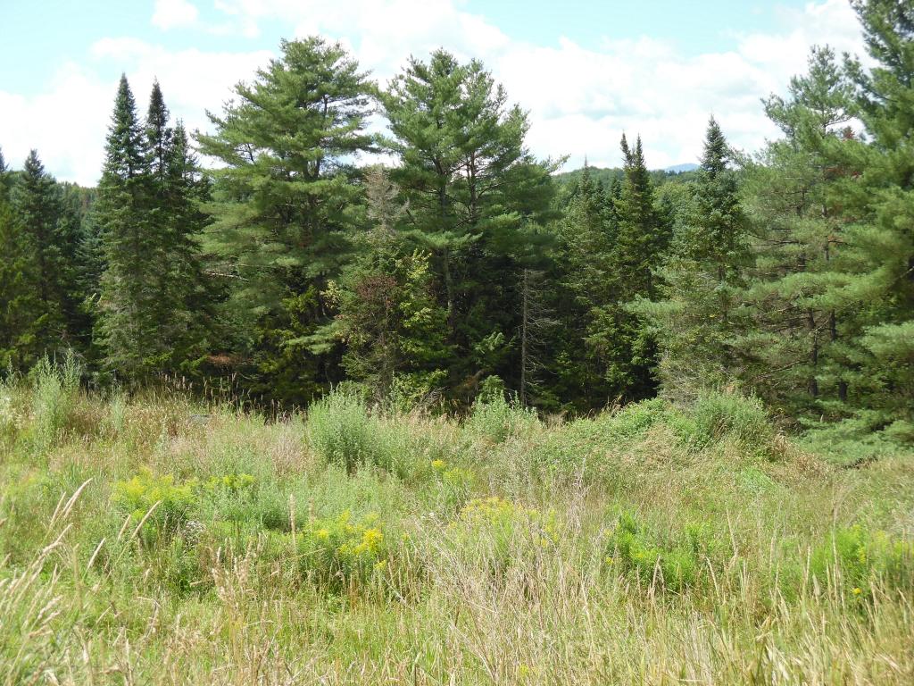 332 Fitzgerald Road Morristown, VT 05661 - Photo 18 of 23